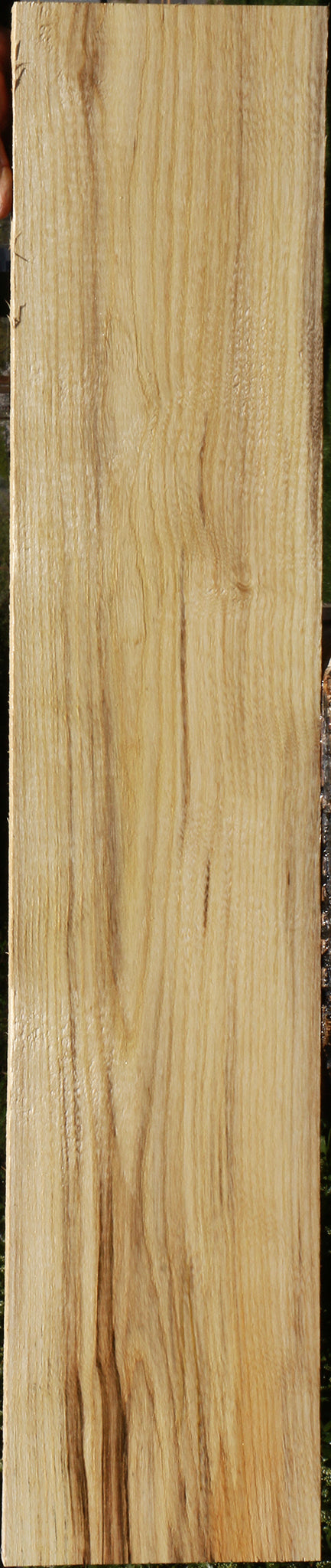 Spalted Hackberry Lumber