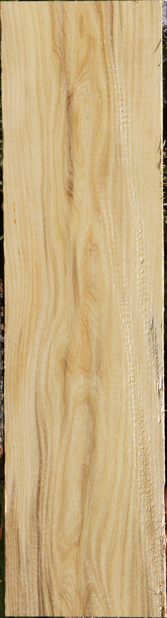 Spalted Hackberry Lumber