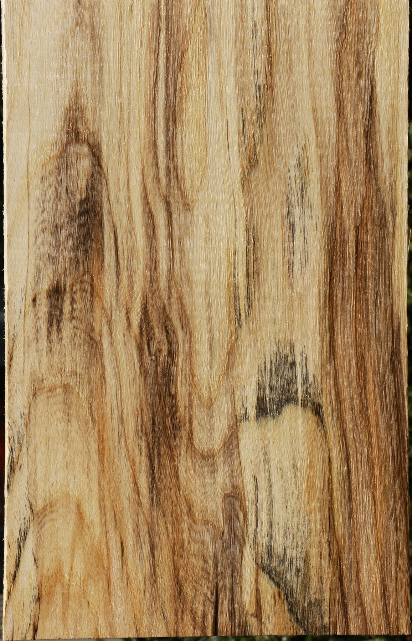 Spalted Hackberry Lumber
