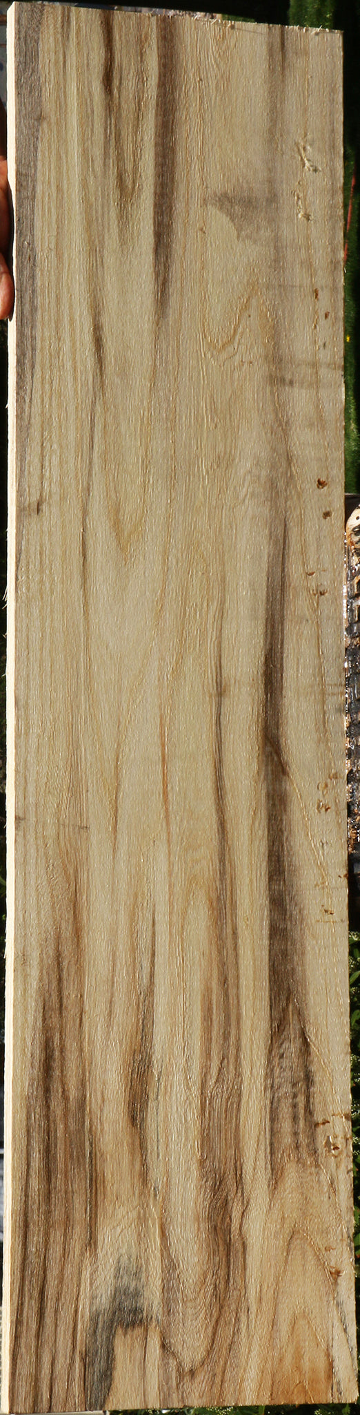 Figured Spalted Hackberry Lumber