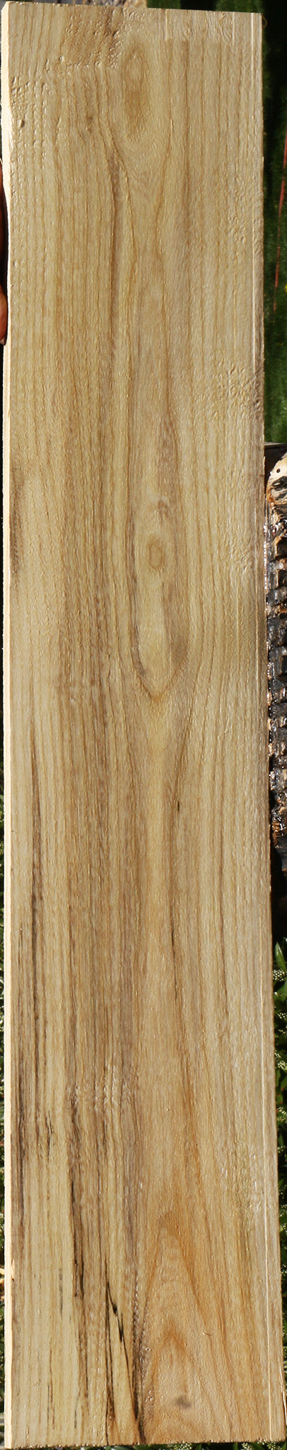 Spalted Hackberry Lumber