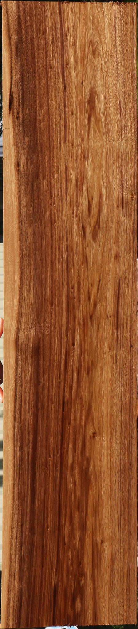 Patagonian Rosewood Lumber