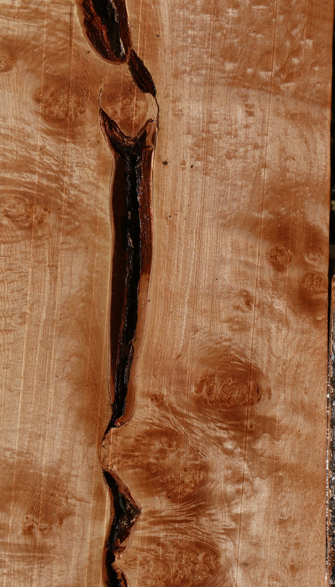 Extra Fancy Maple Live Edge Lumber