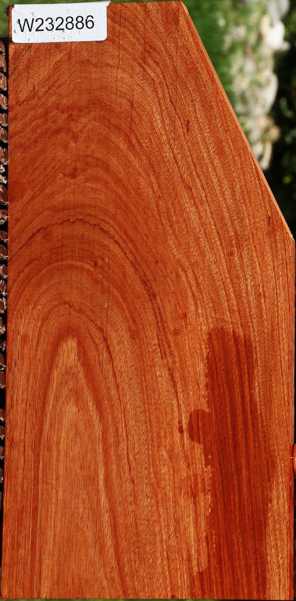 Figured Rosita Lumber