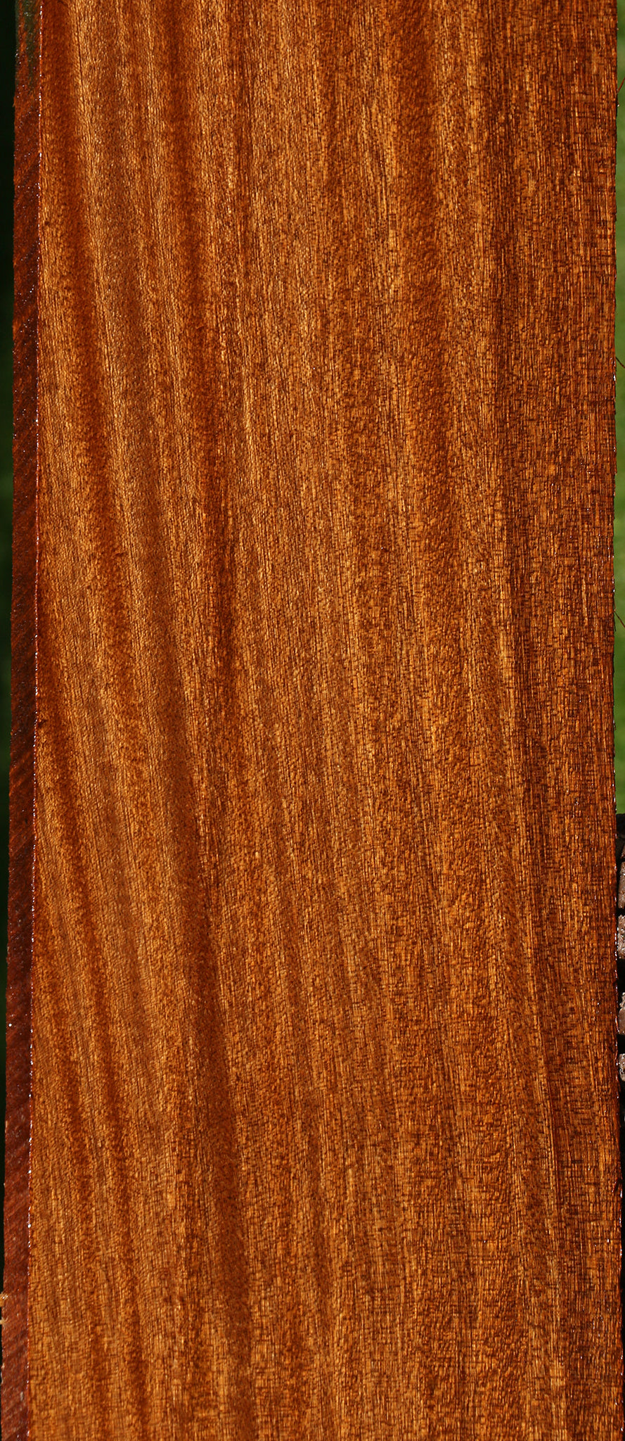 Quartersawn Sapele Lumber