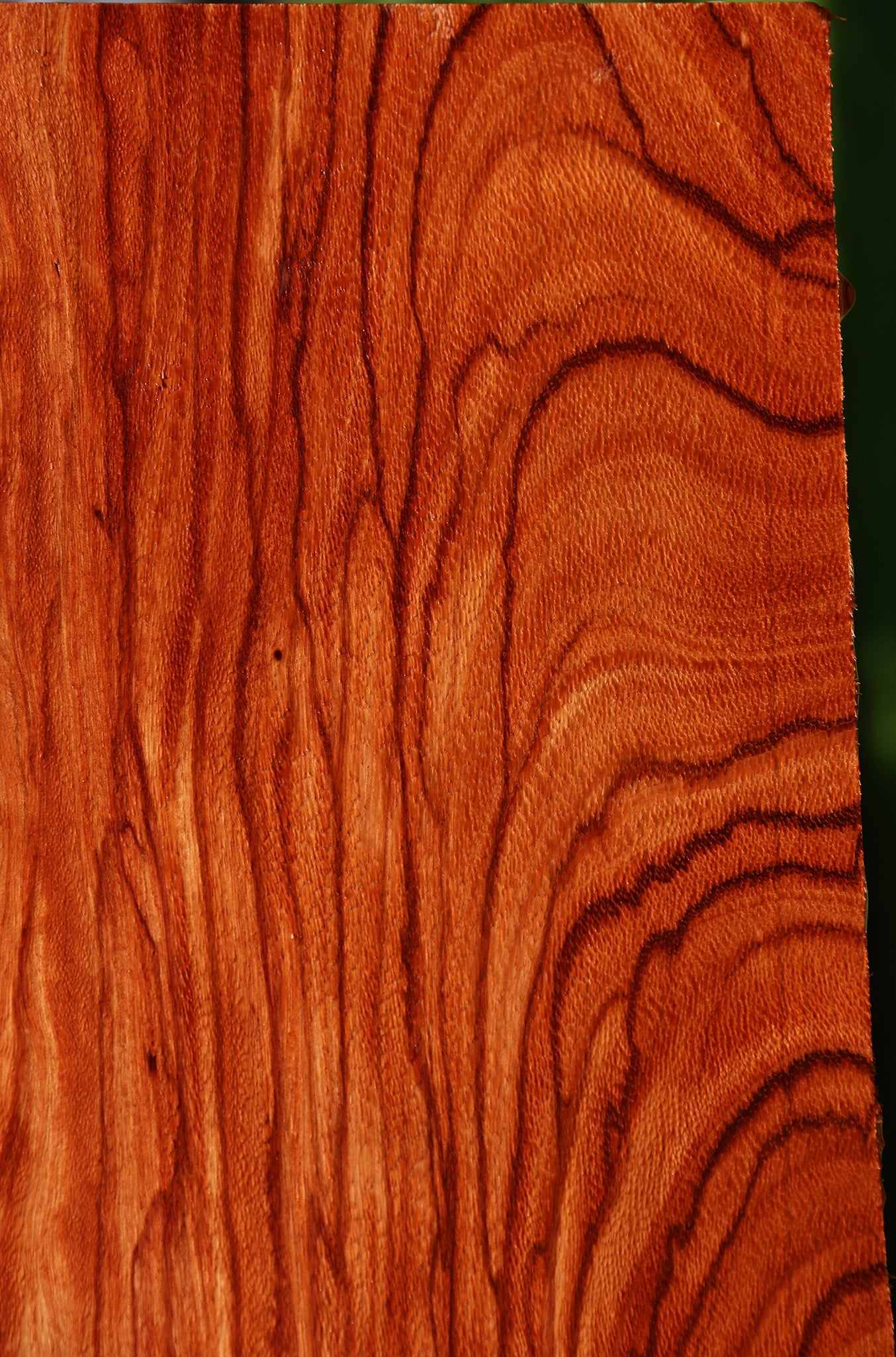 Extra Fancy Ebiara Lumber