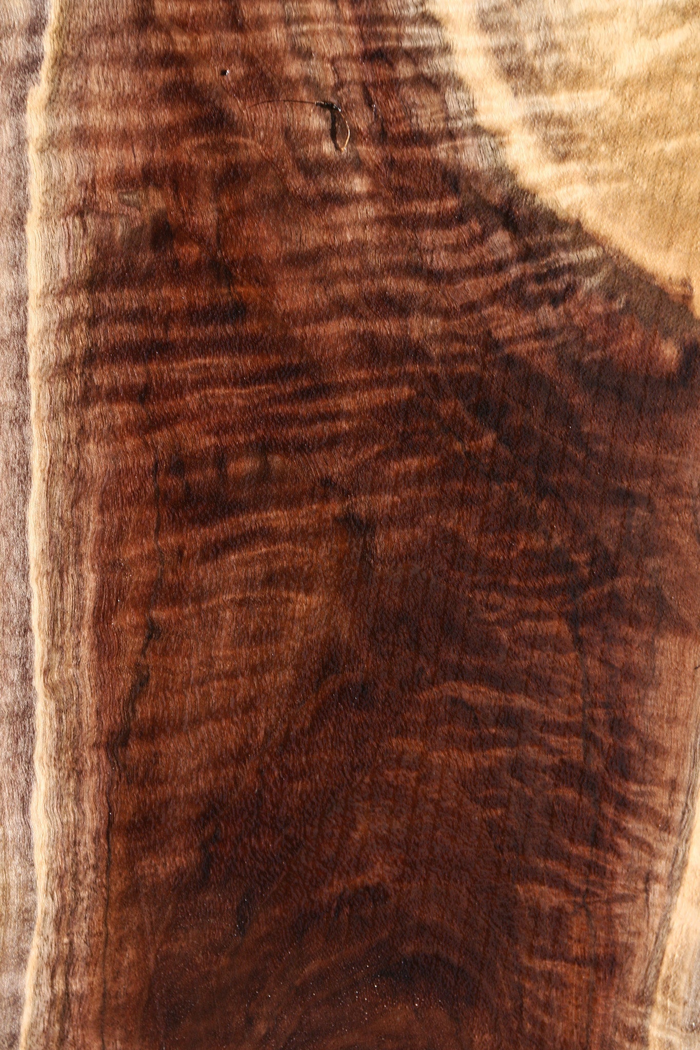 Figured Claro Walnut Live Edge Lumber