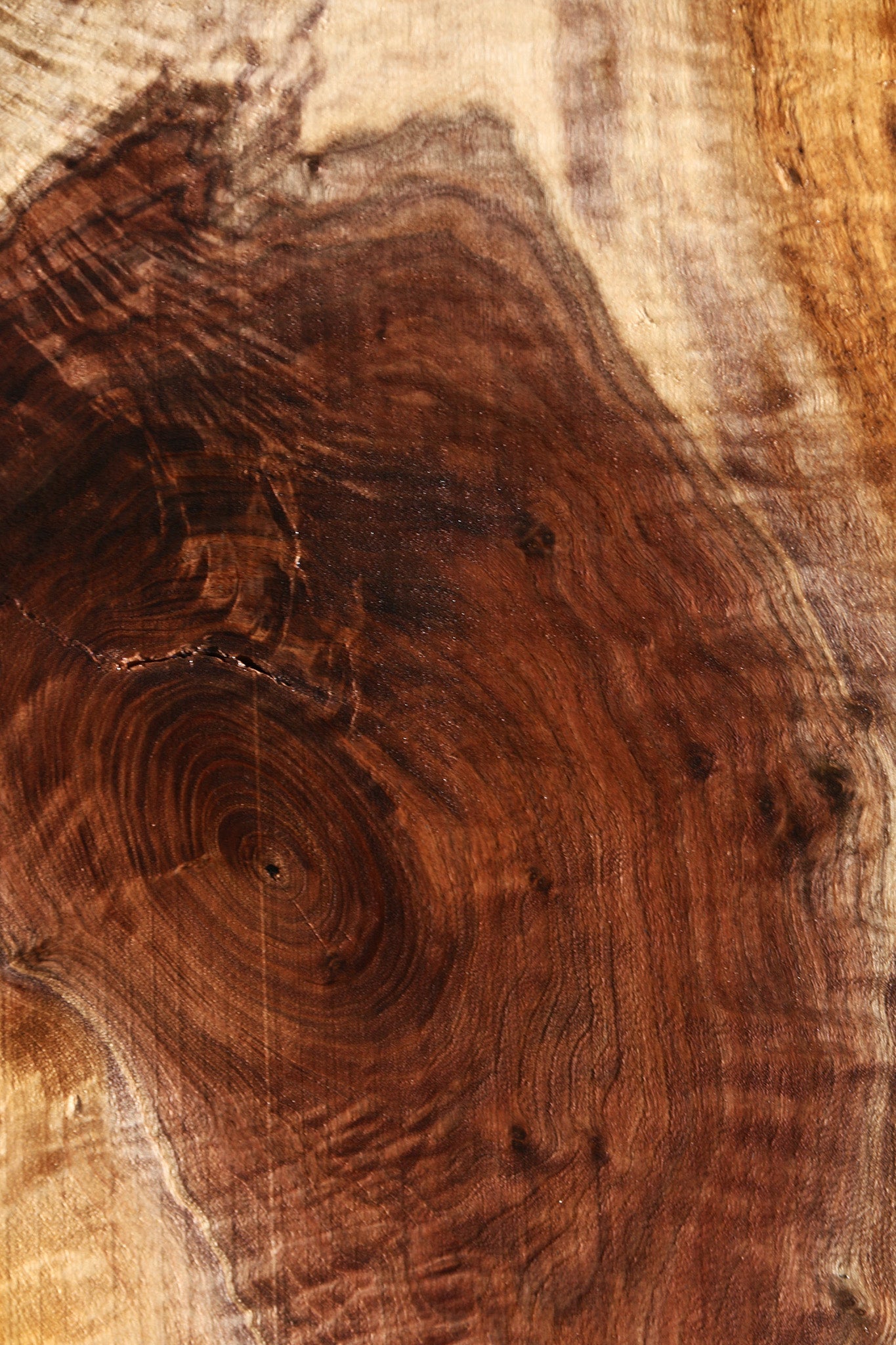 Claro Walnut Live Edge Lumber