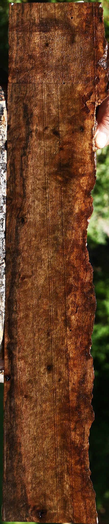 Extra Fancy Quilted Claro Walnut Live Edge Lumber