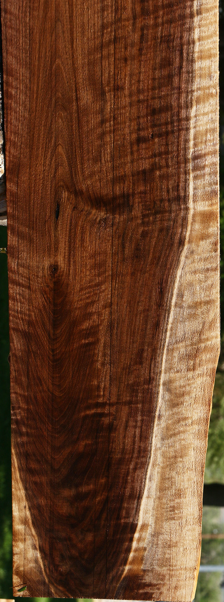 Exhibition Claro Walnut Lumber