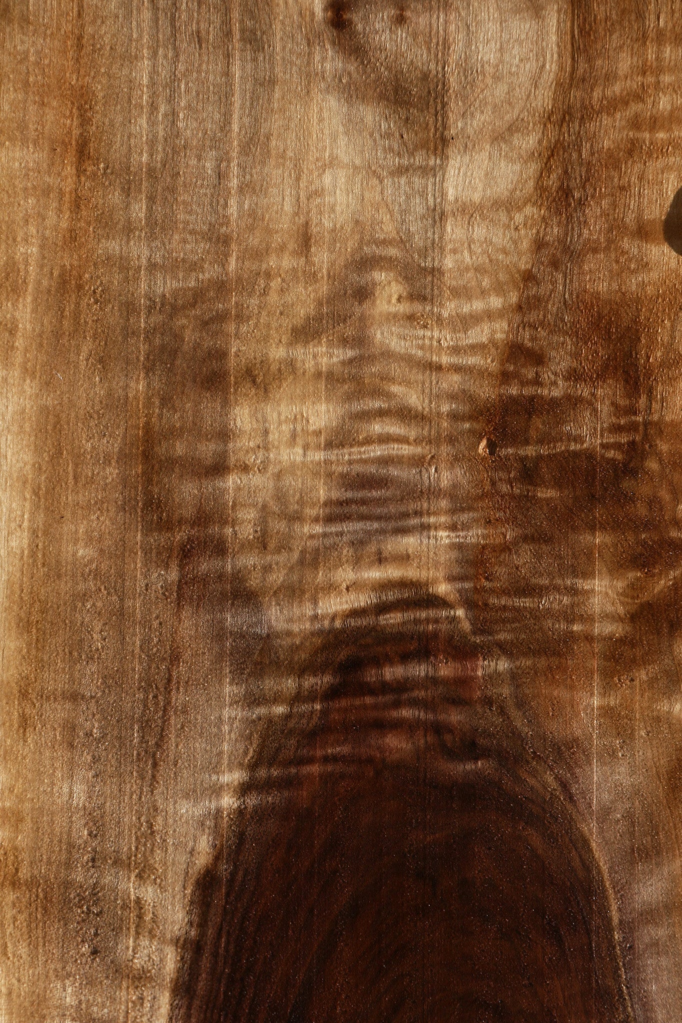 Extra Fancy Claro Walnut Live Edge Lumber