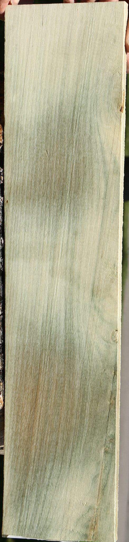 Holly Micro Lumber