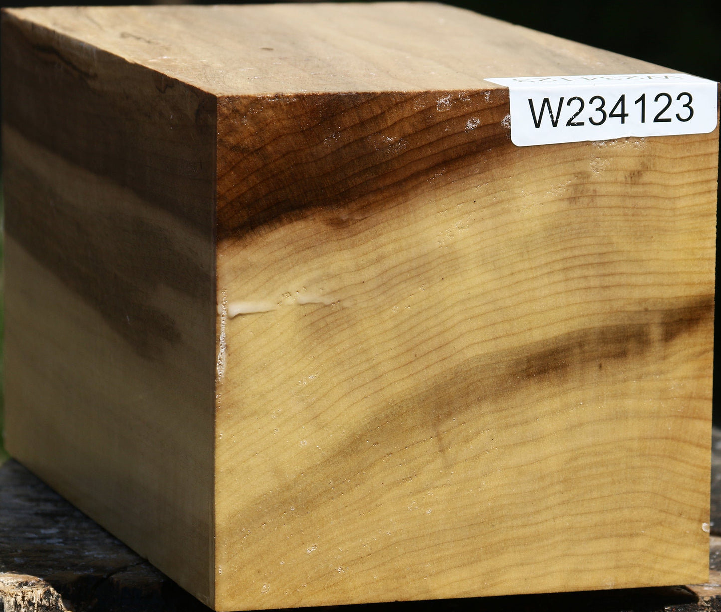 Figured Myrtle Vessel Blank