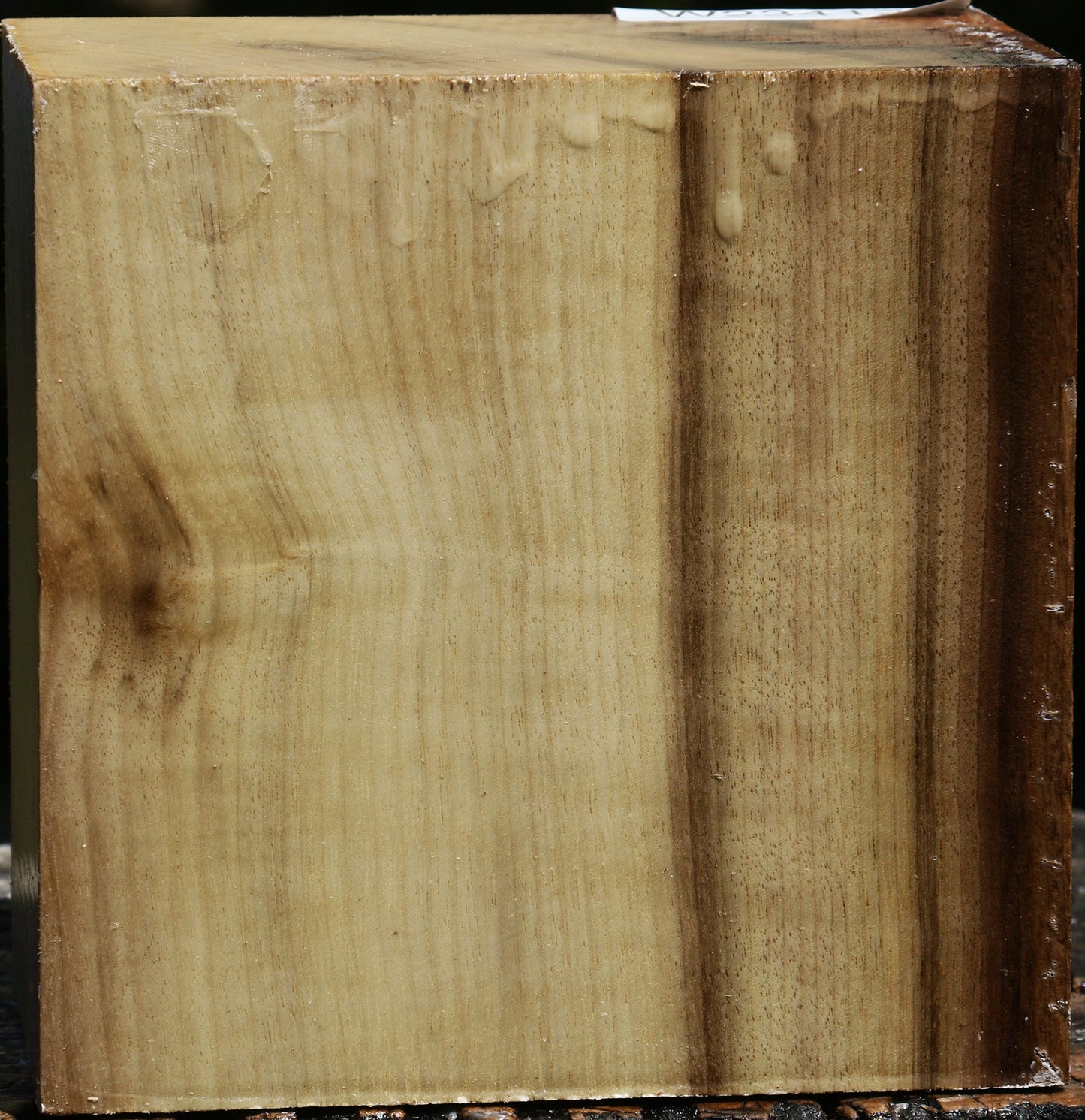 Figured Myrtle Bowl Blank