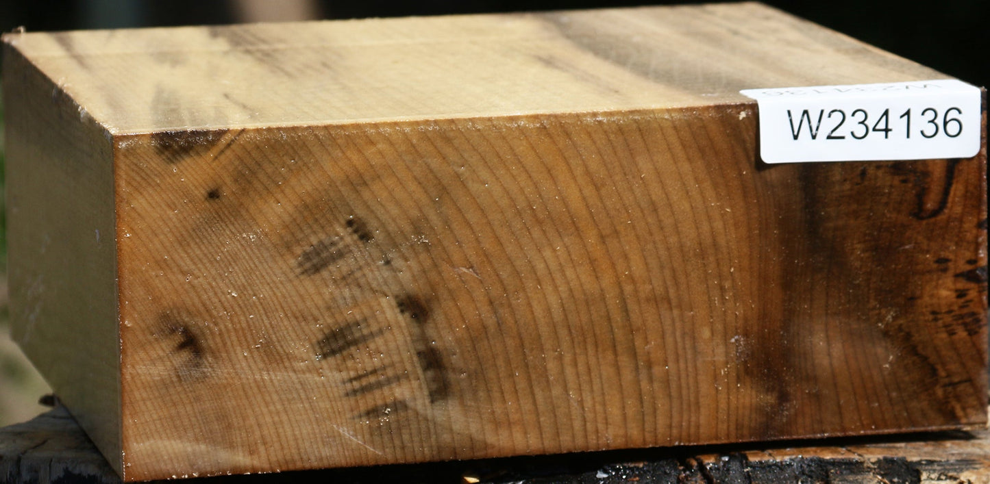 Extra Fancy Myrtle Bowl Blank