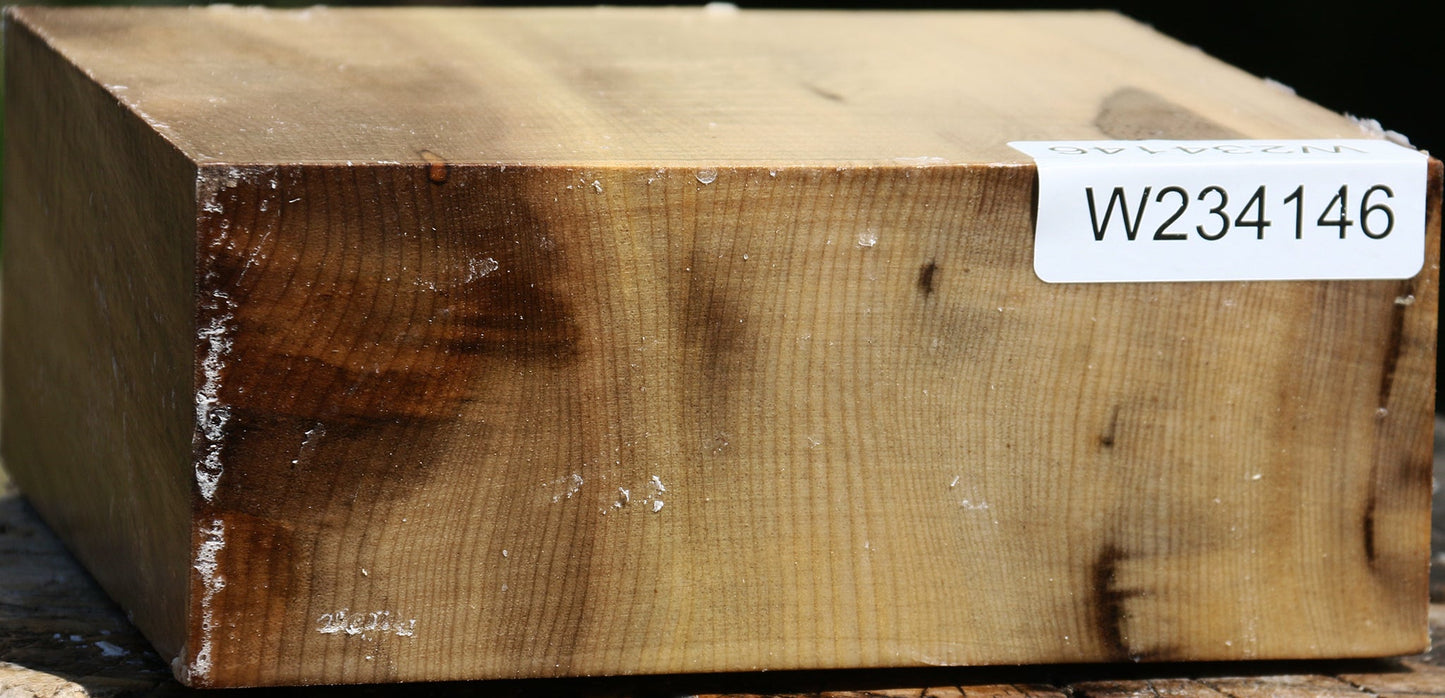 Quartersawn Myrtle Bowl Blank