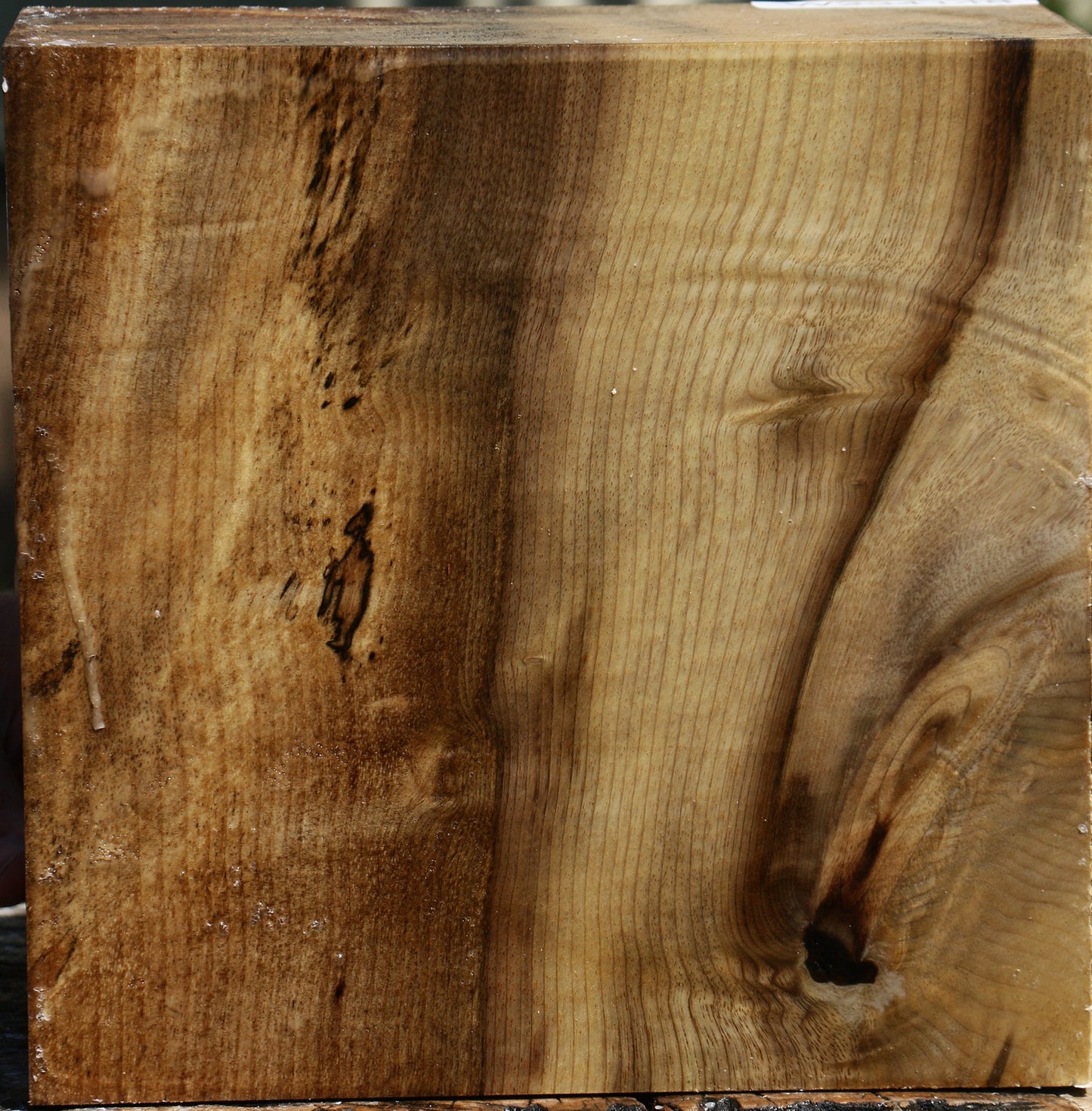 Figured Myrtle Bowl Blank