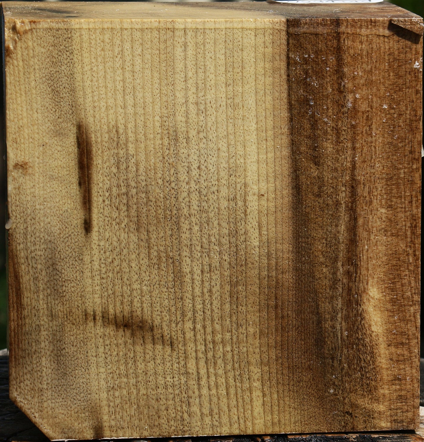 Figured Myrtle Bowl Blank