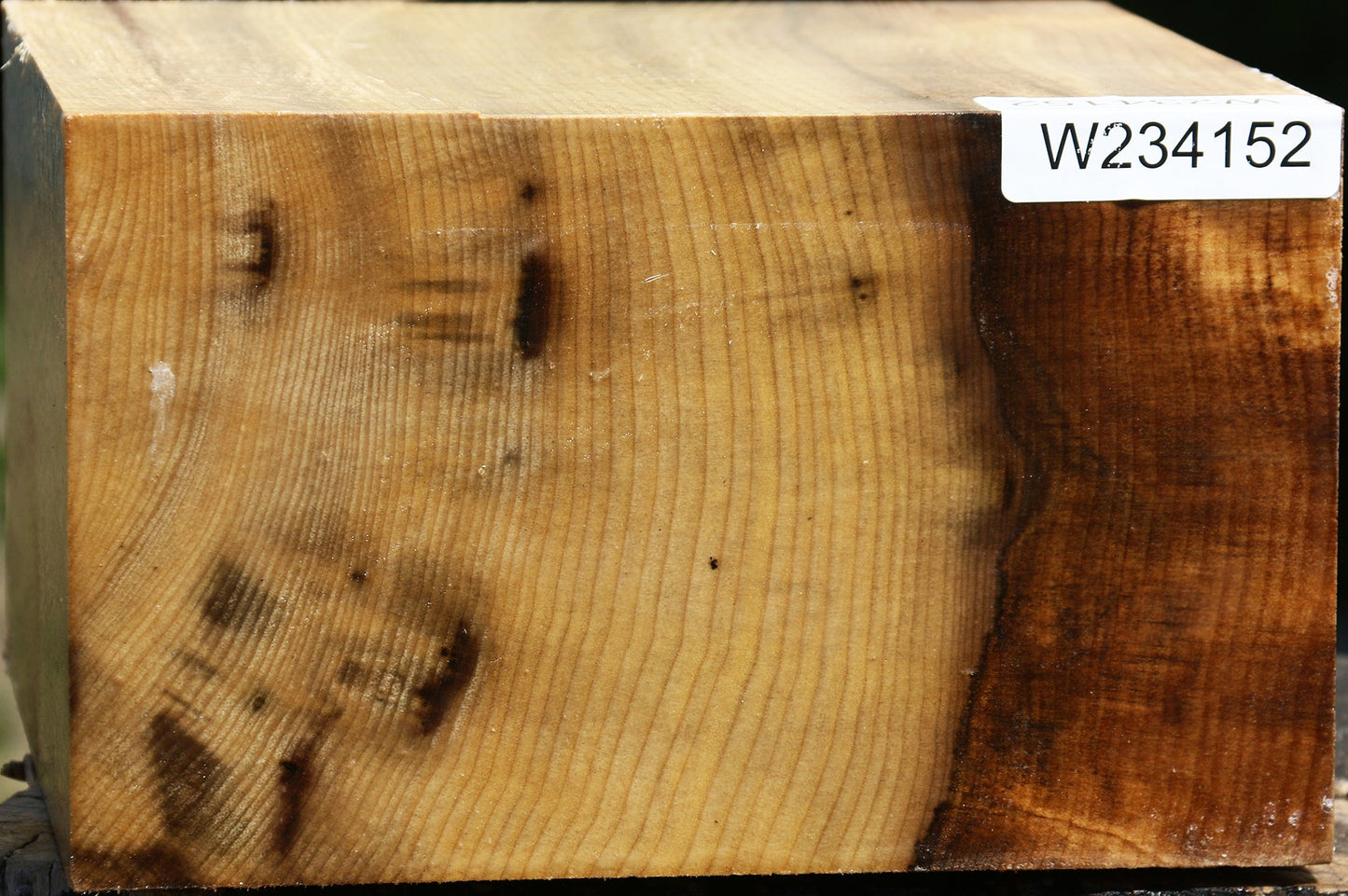 Extra Fancy Myrtle Bowl Blank