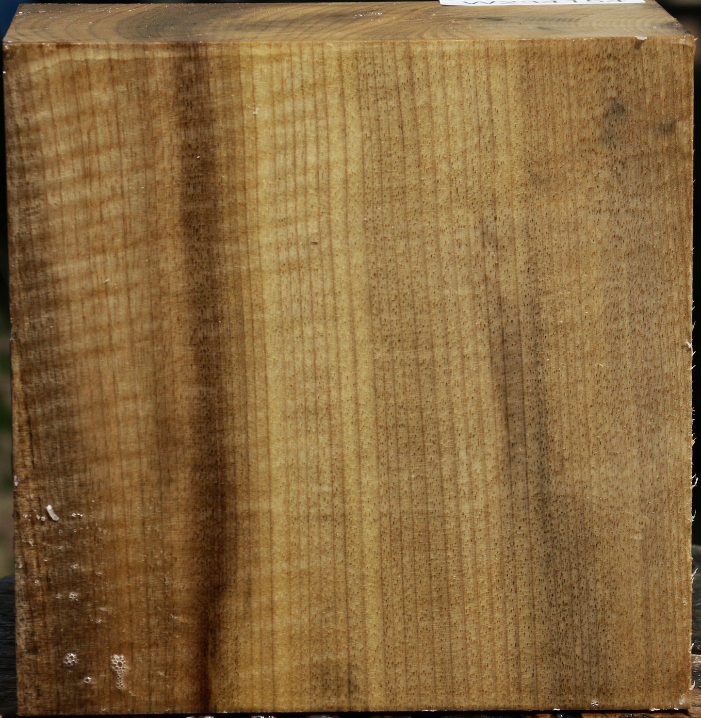 Extra Fancy Quartersawn Myrtle Bowl Blank