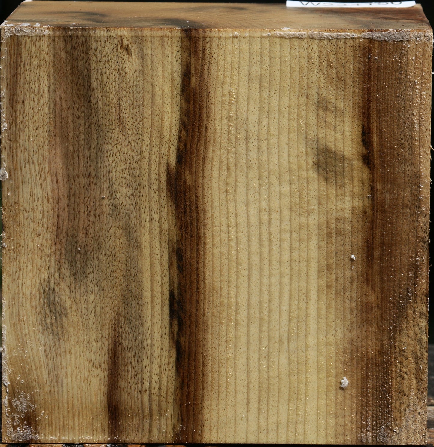 Figured Myrtle Bowl Blank