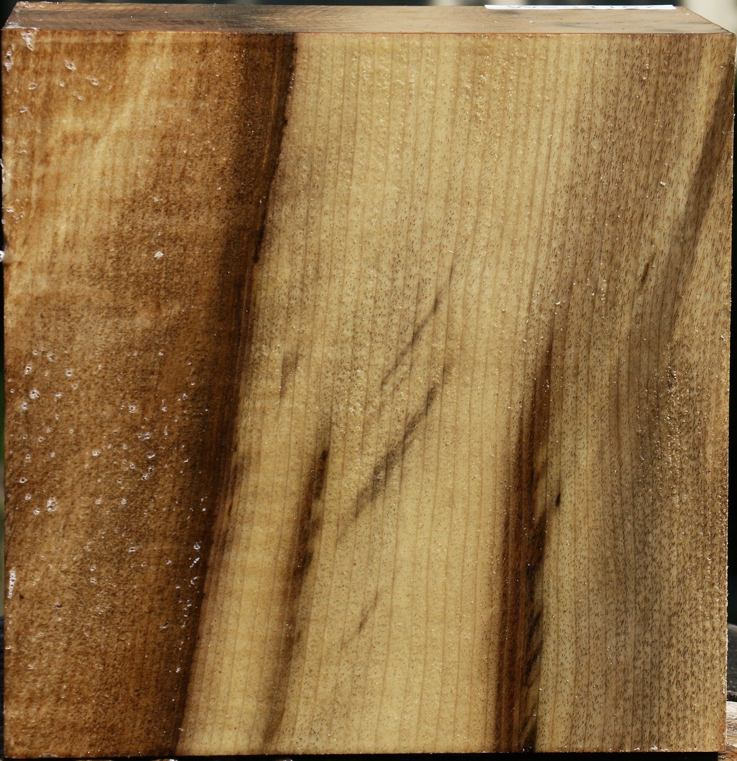 Figured Quartersawn Myrtle Bowl Blank