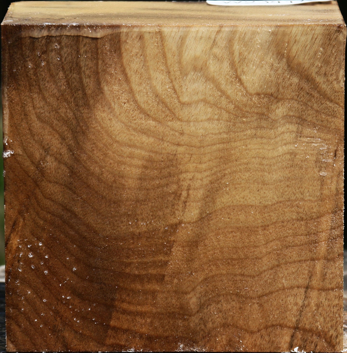 Figured Myrtle Bowl Blank