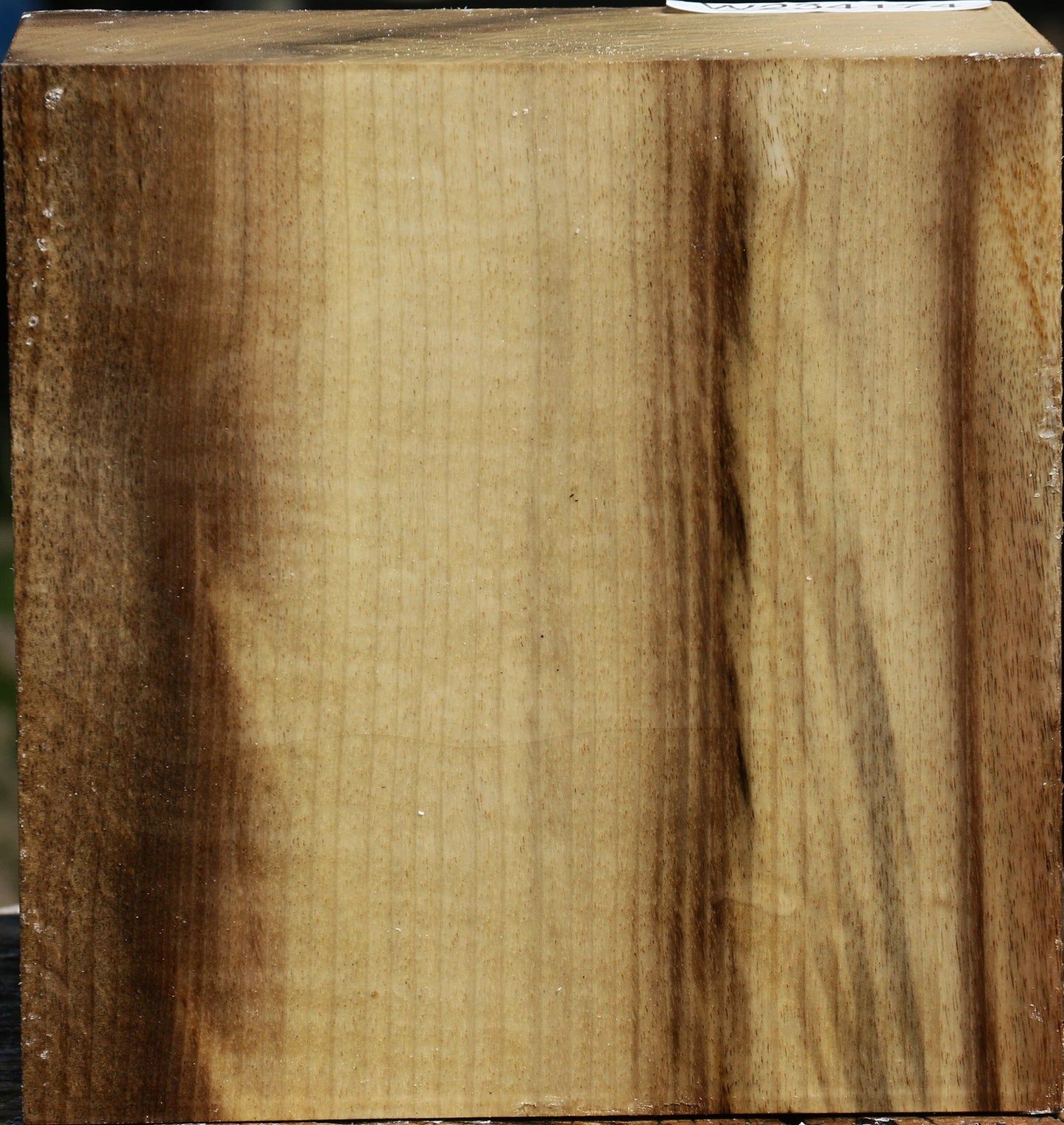 Figured Myrtle Bowl Blank