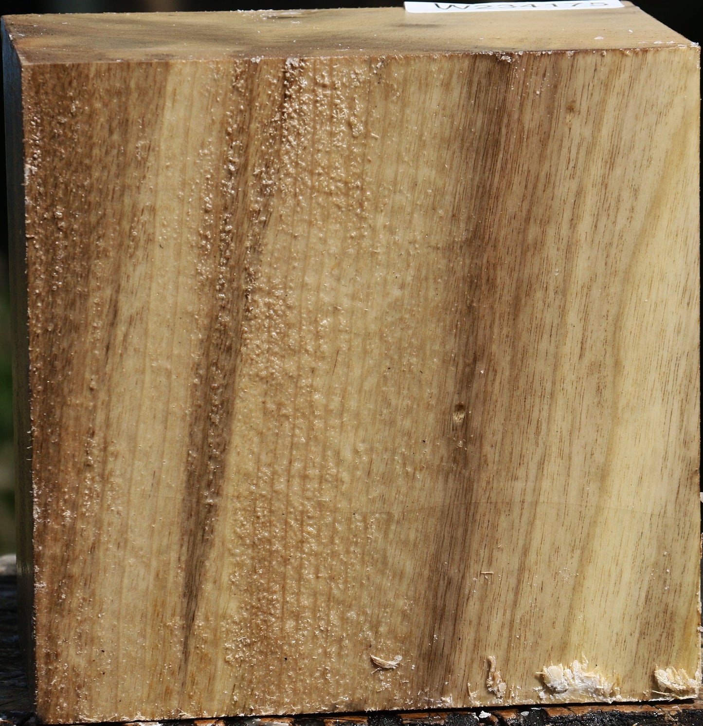 Figured Myrtle Bowl Blank