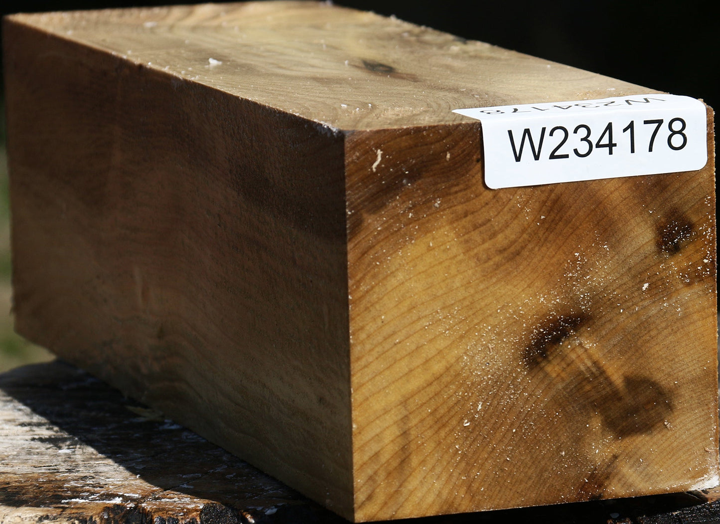 Figured Myrtle Vessel Blank