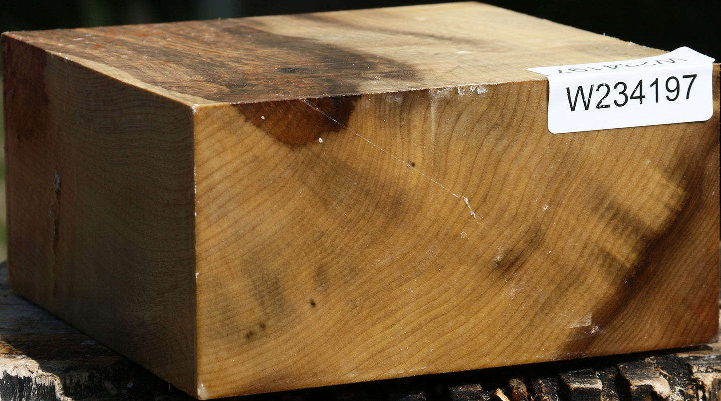 Figured Myrtle Bowl Blank