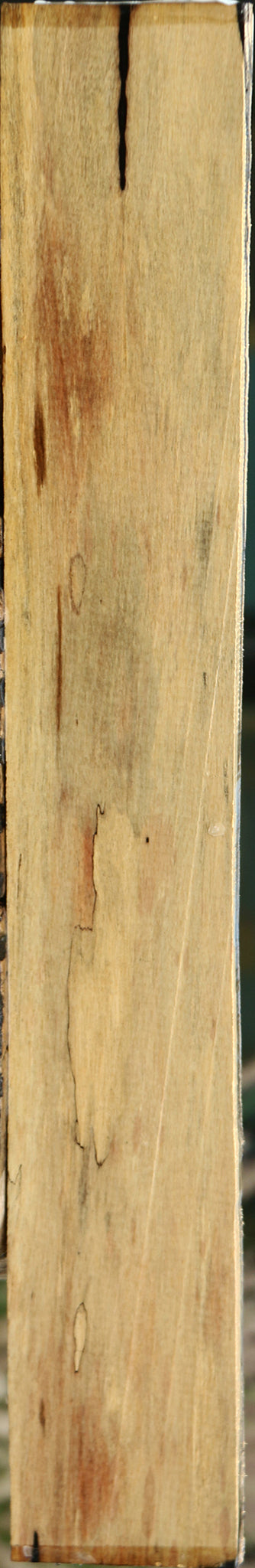 Figured Black & White Ebony Lumber