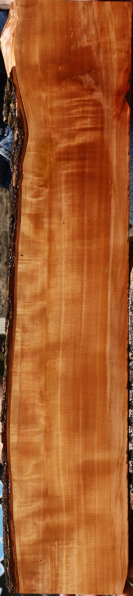 Extra Fancy Swiss Pear Live Edge Lumber