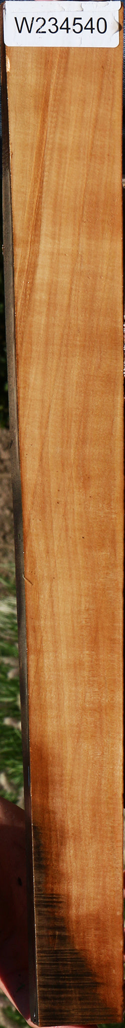 Figured Swiss Pear Live Edge Lumber