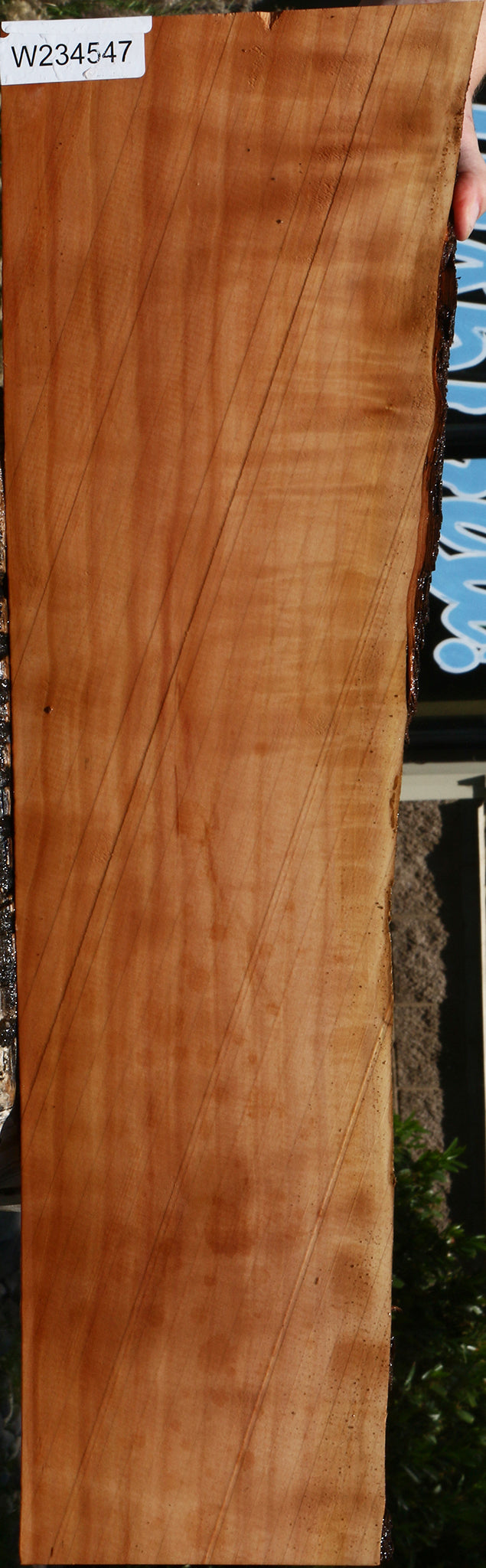 Extra Fancy Swiss Pear Live Edge Lumber