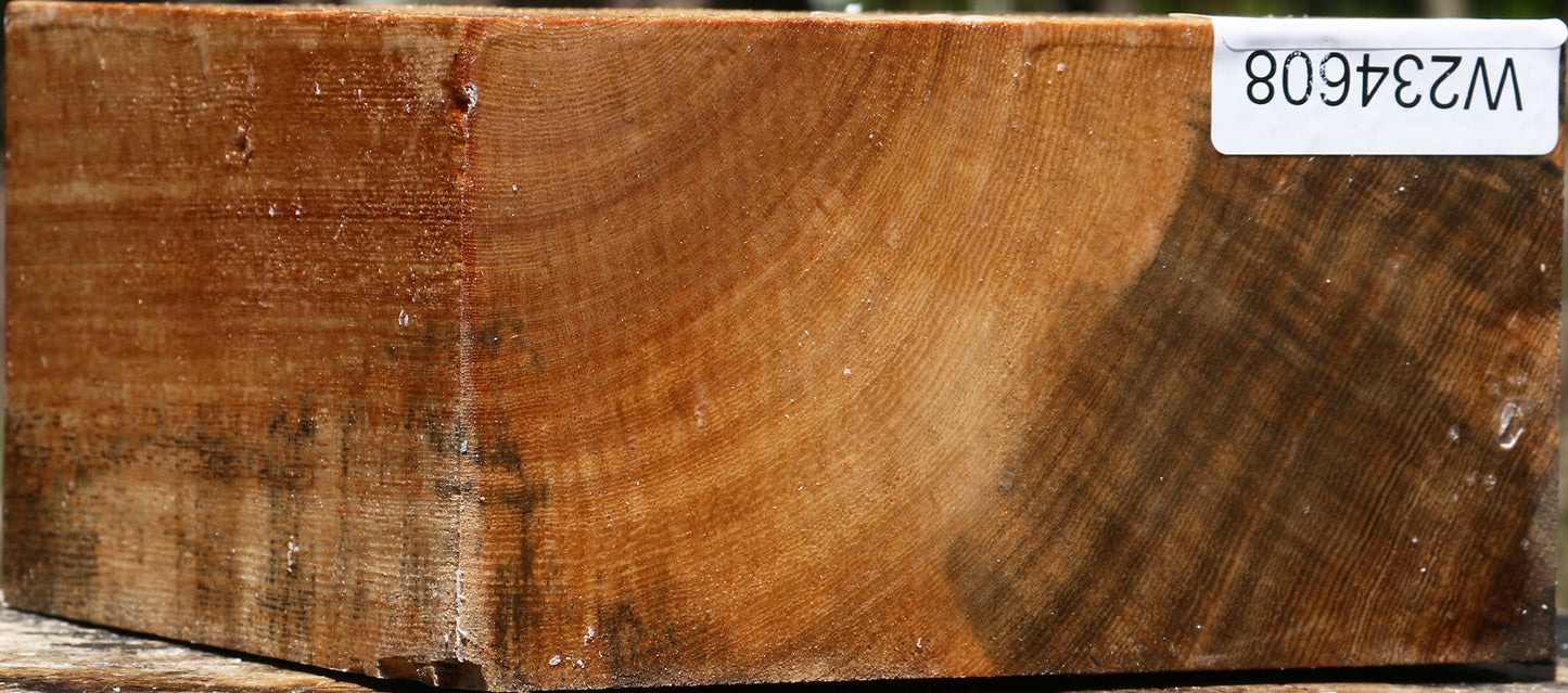 Figured Ficus Bowl Blank