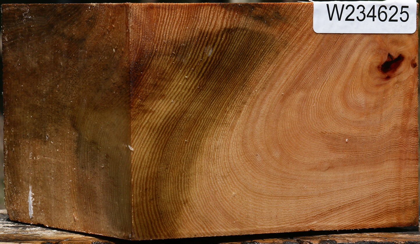 Figured Ficus Bowl Blank