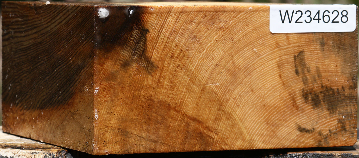 Figured Ficus Bowl Blank