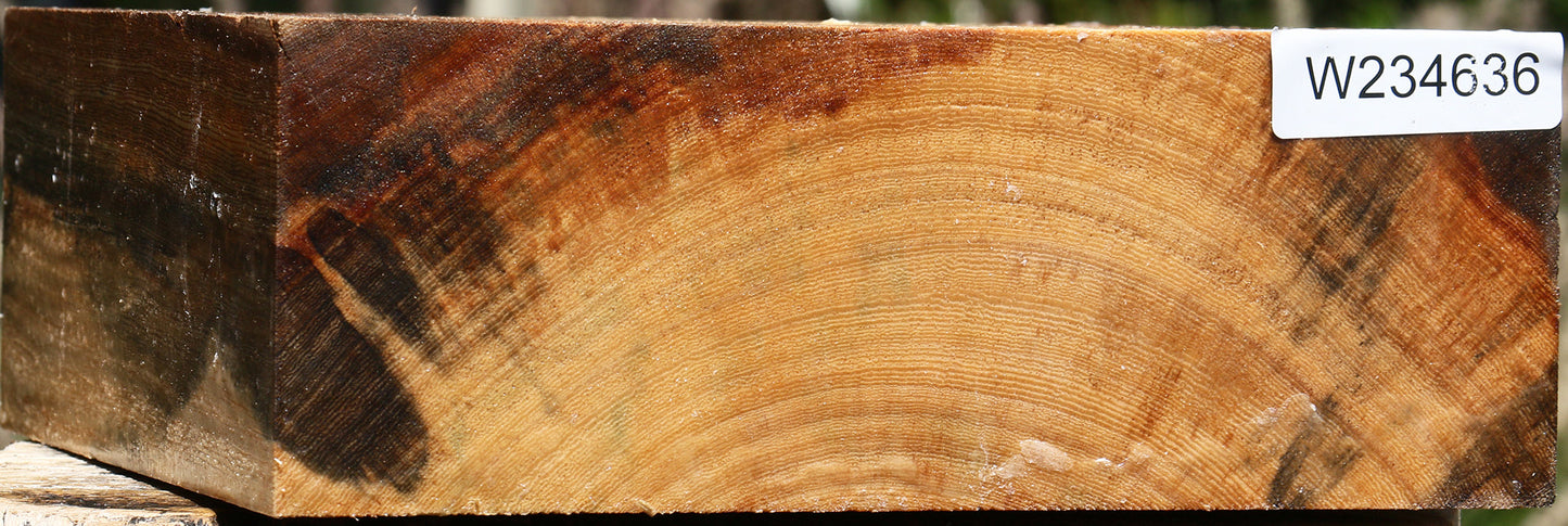 Figured Ficus Bowl Blank