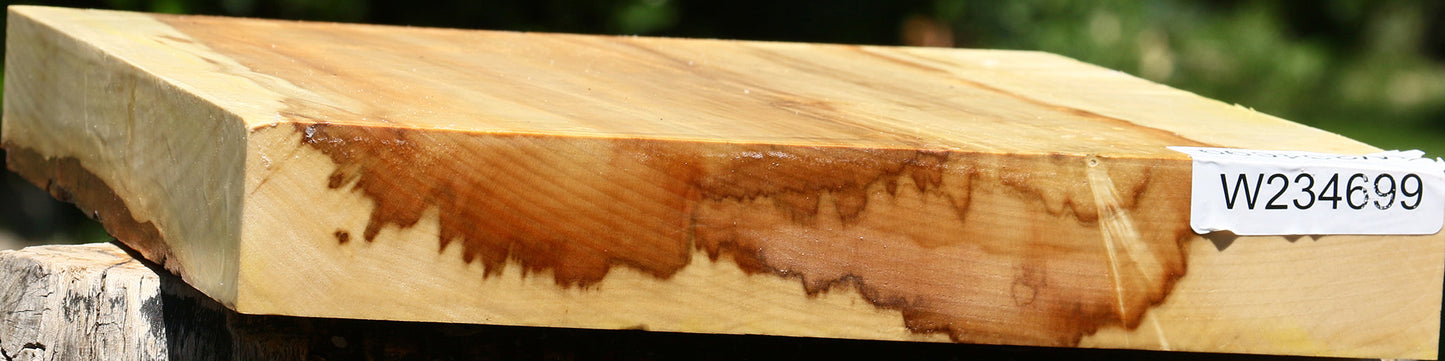 Box Elder Platter Blank