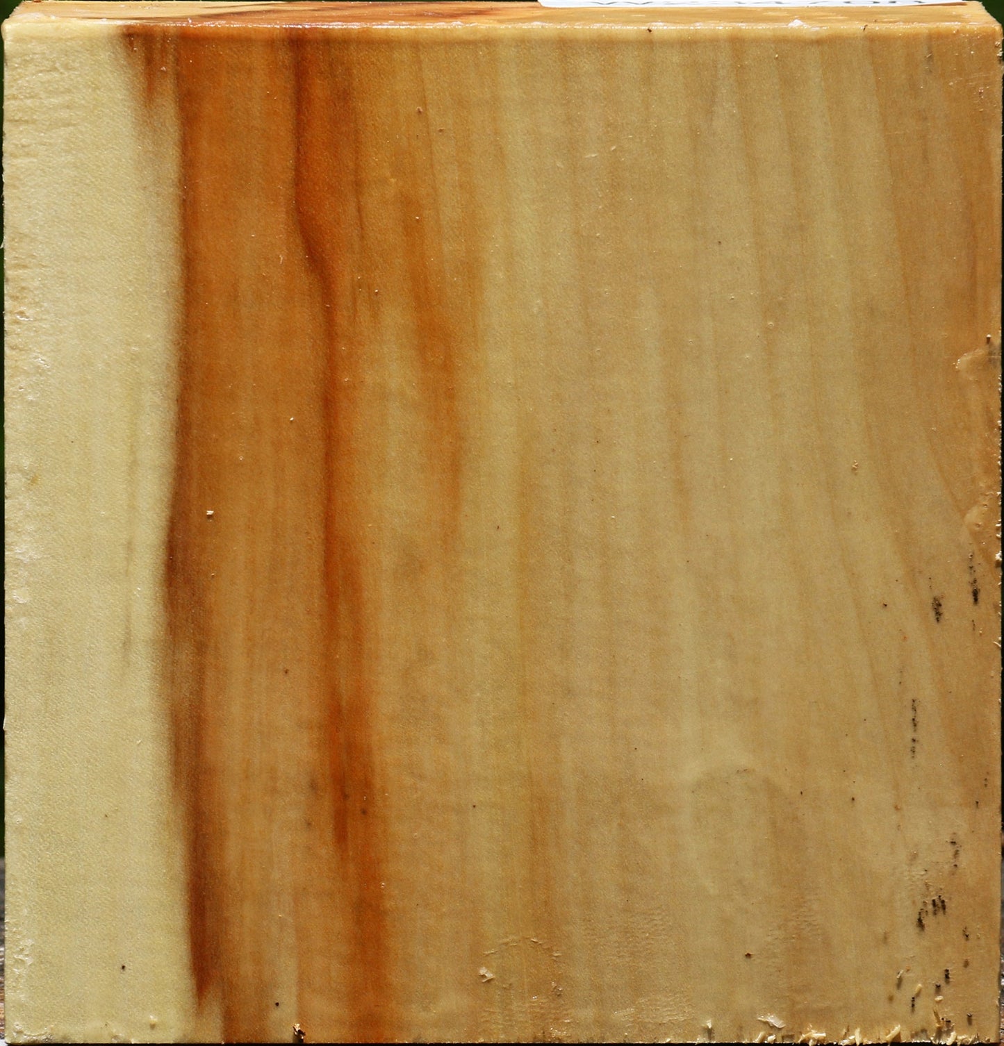 Box Elder Bowl Blank