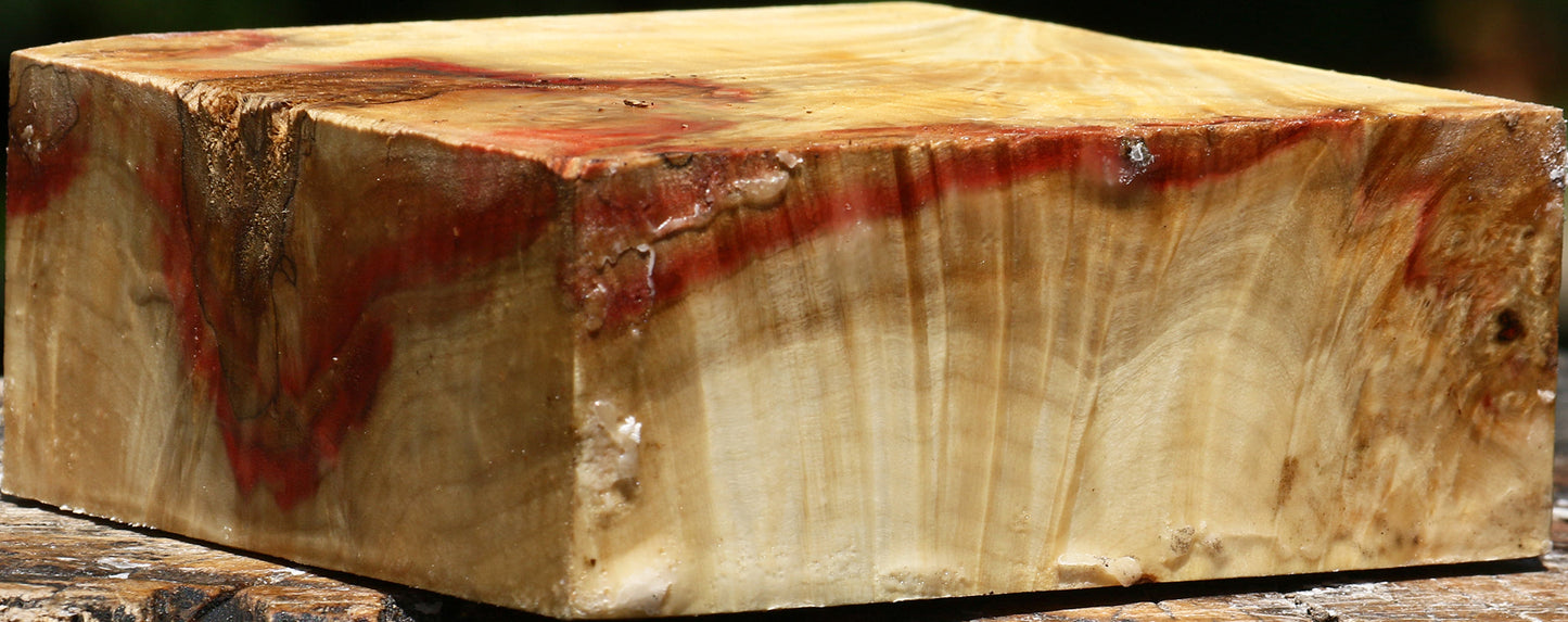 Box Elder Burl Bowl Blank