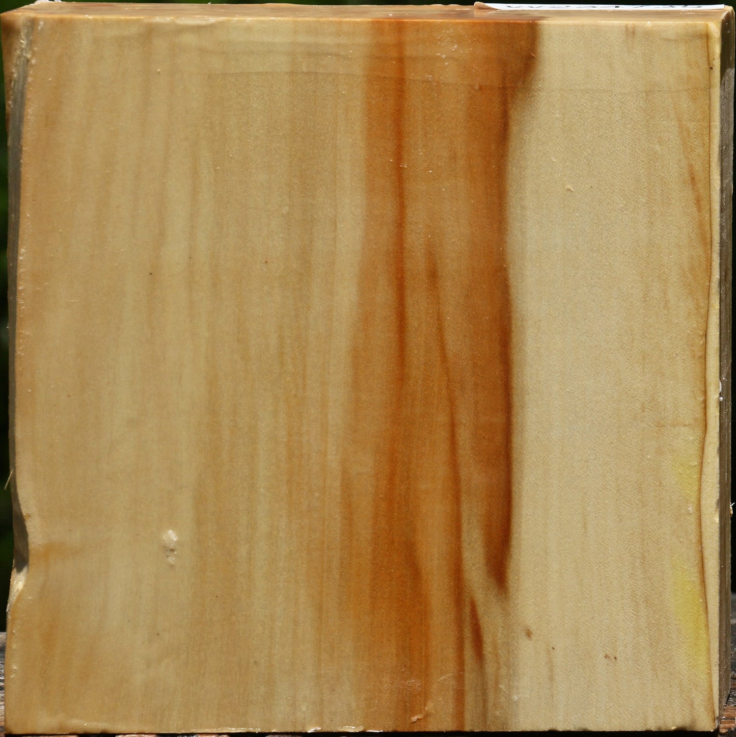 Box Elder Bowl Blank