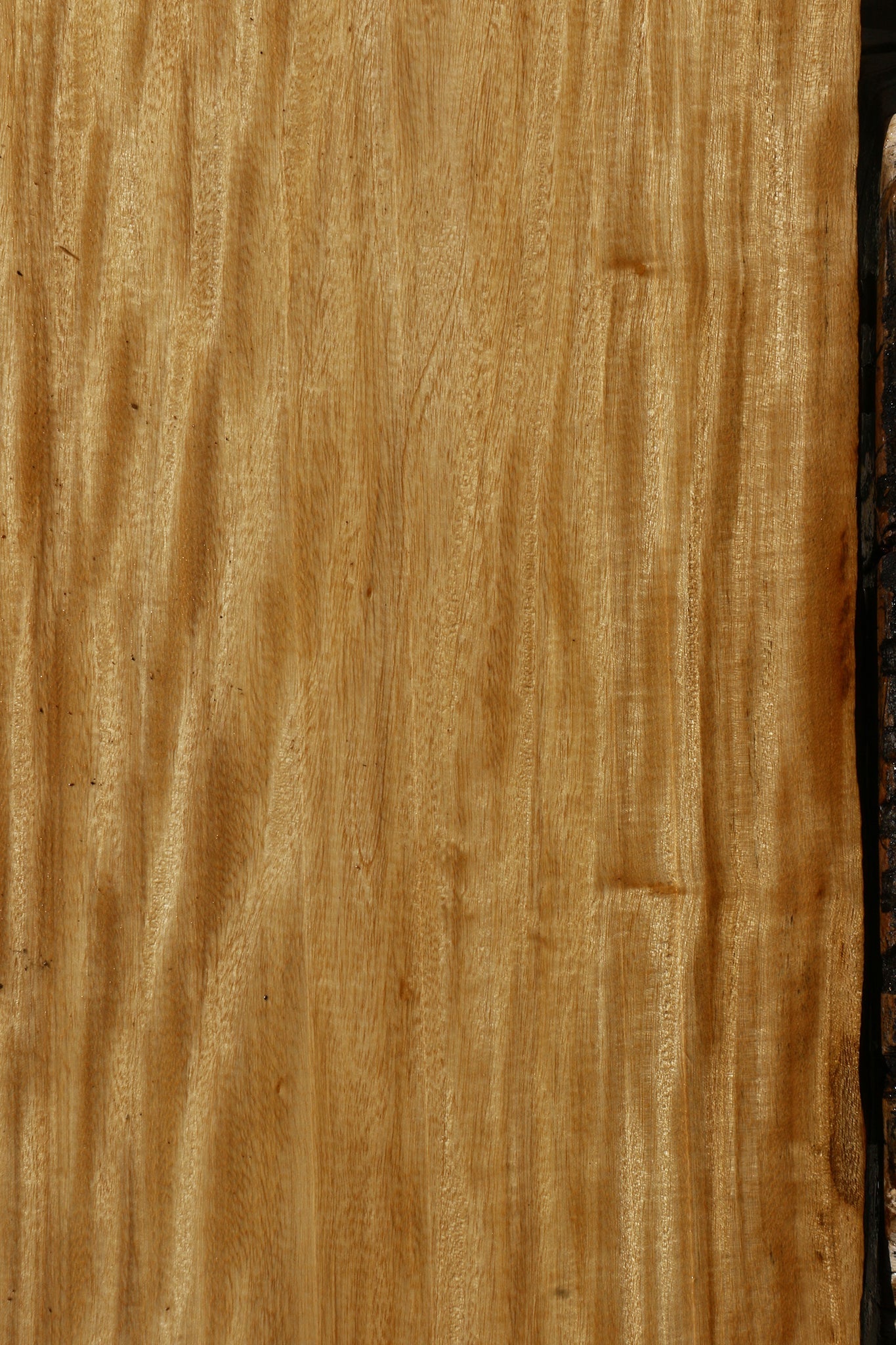 Figured Primavera Live Edge Micro Lumber