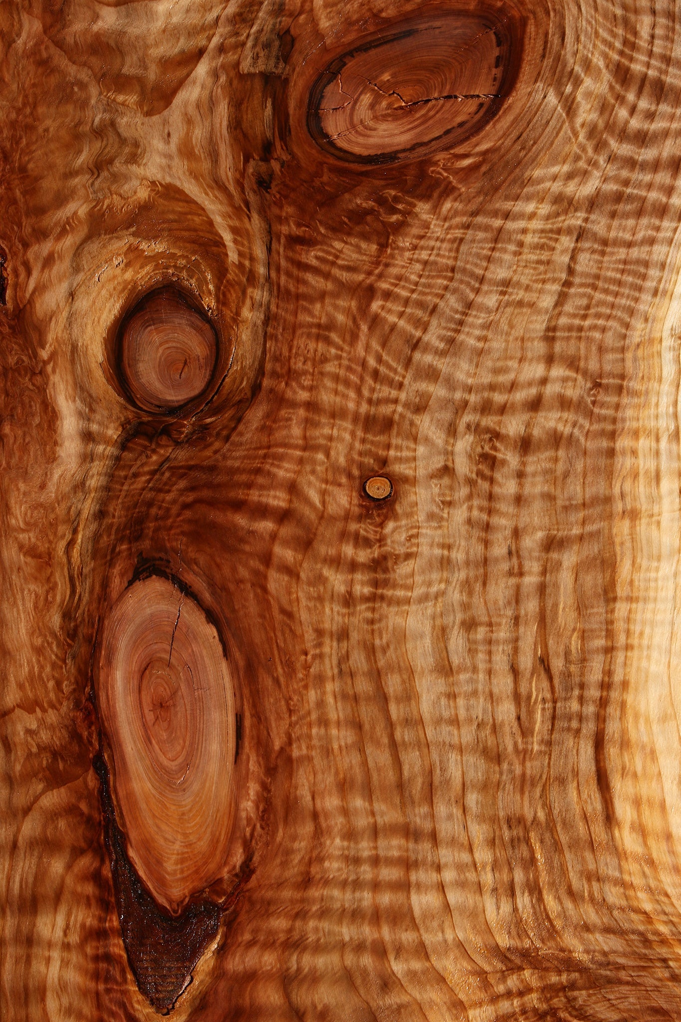Curly Redwood Live Edge Slab