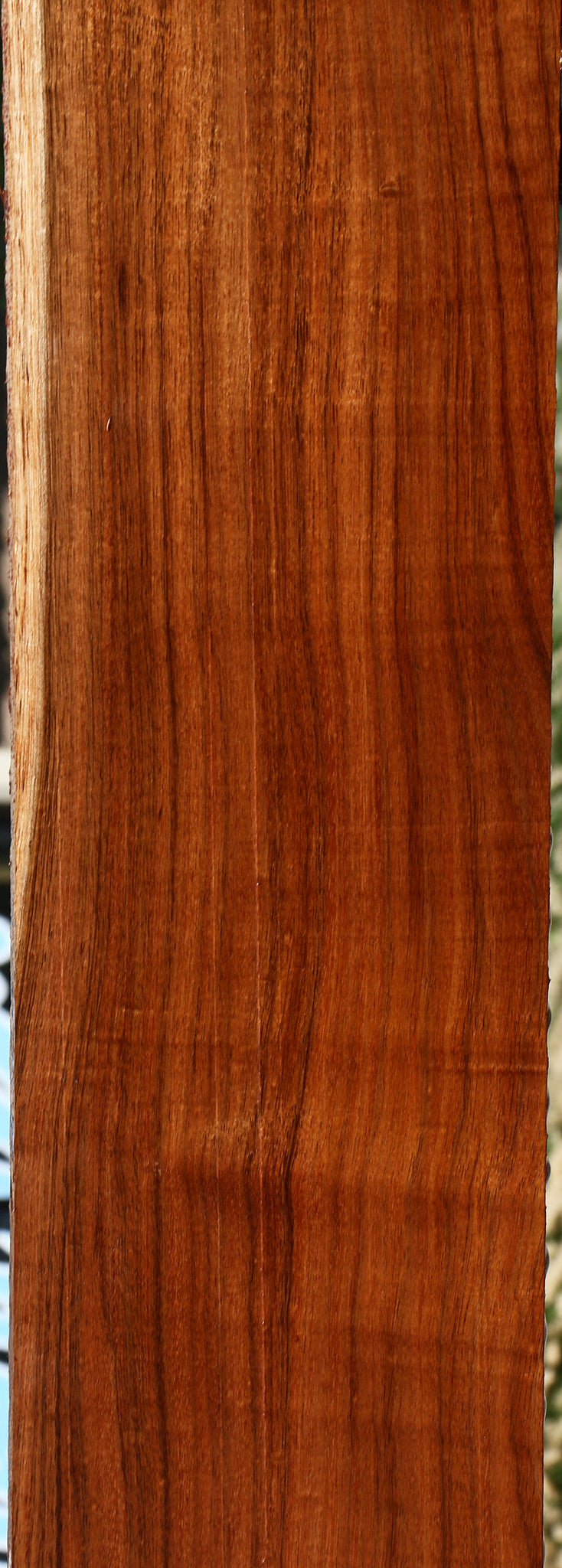 Figured Tzalam Lumber