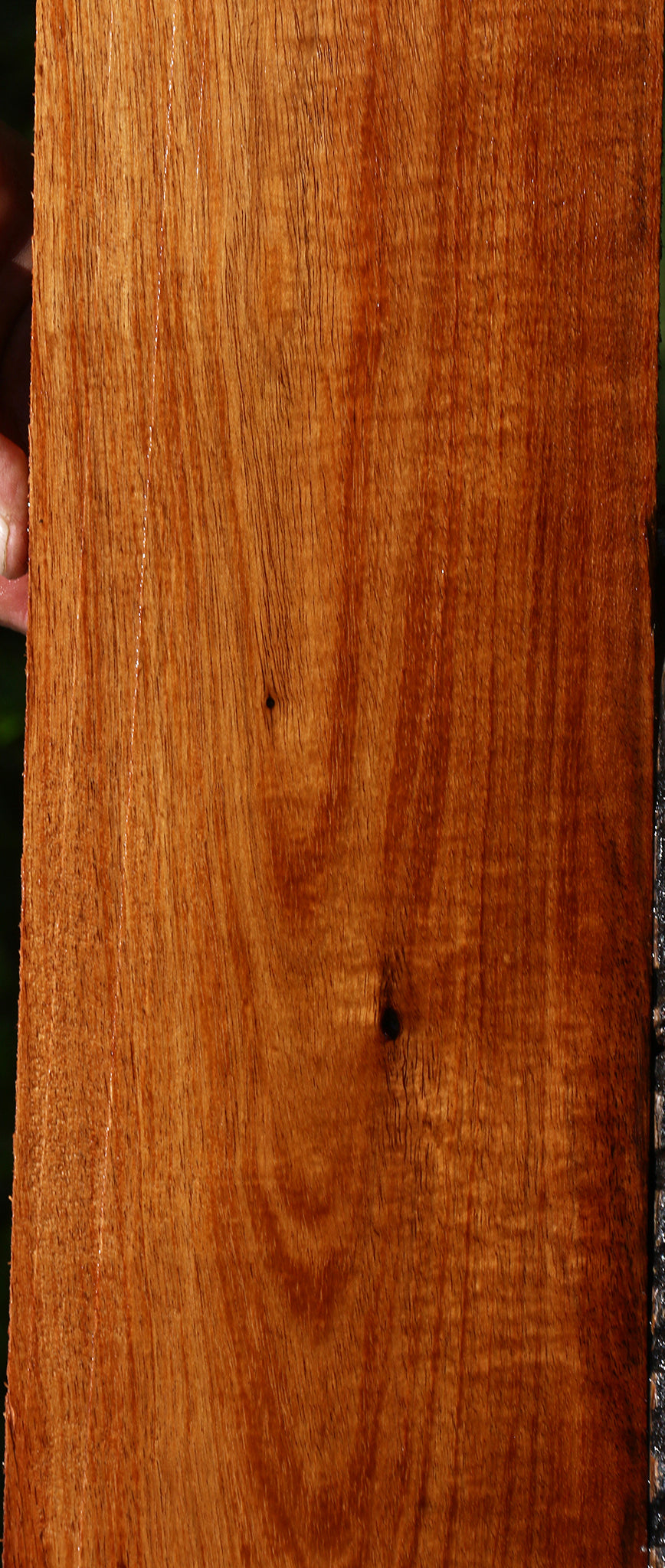 Figured Tzalam Lumber