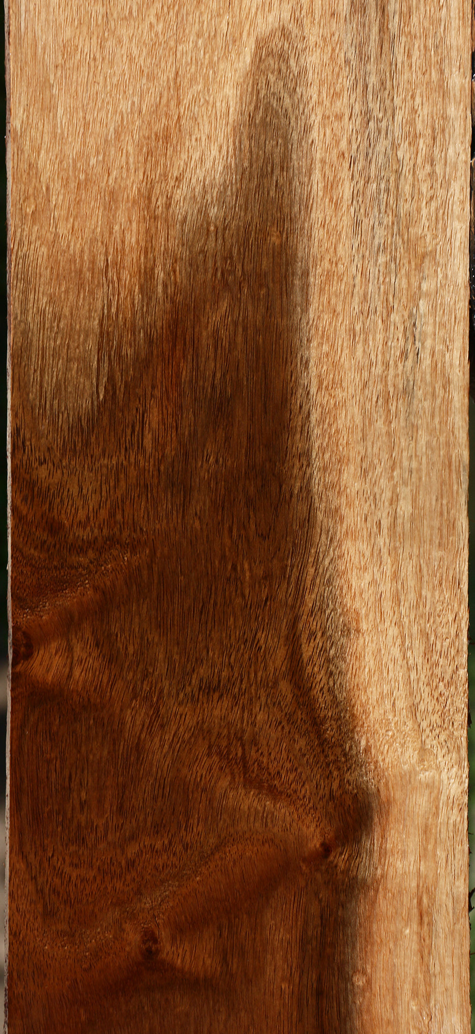 Figured Tzalam Lumber