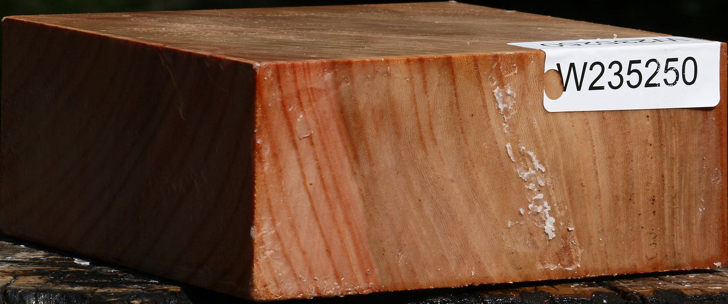 Zelkova Bowl Blank