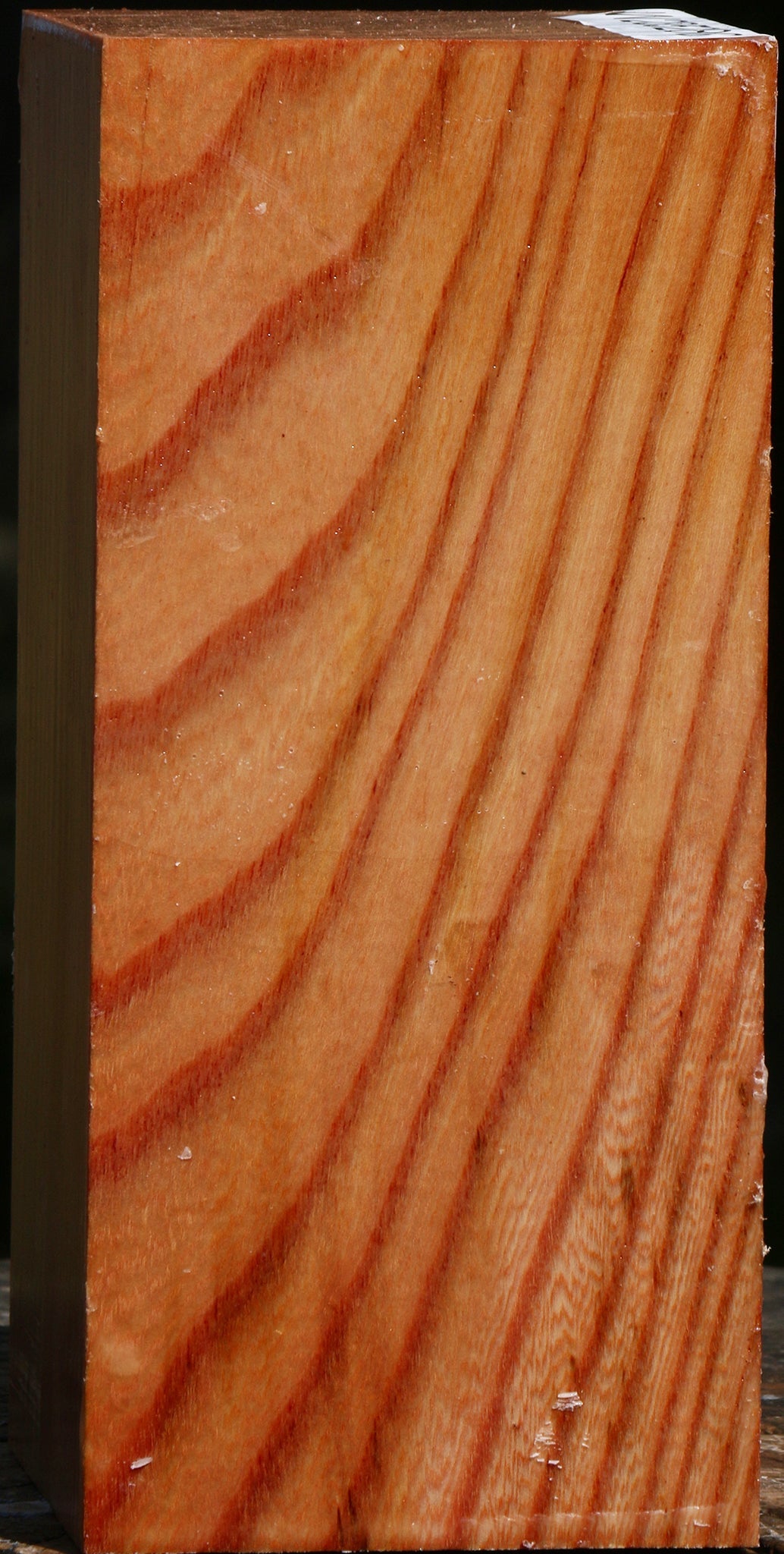 Zelkova Turning Square